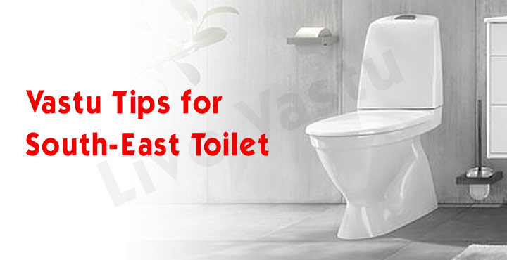 Toilet Vastu Remedies In 16 Directions   Zones