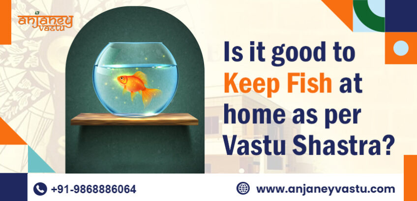 Is it good to keep fish at home as per Vastu? Which Fish is best?