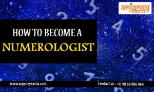 How to become a Numerologist